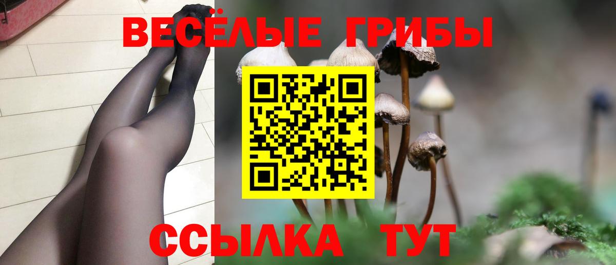 Псилоцибиновые грибы мухоморы  Вход с VPN  Псилоцибиновые грибы мухоморы  Дальнегорск 